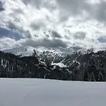 Large Family Near Katschberg Leoben (Carinthia)