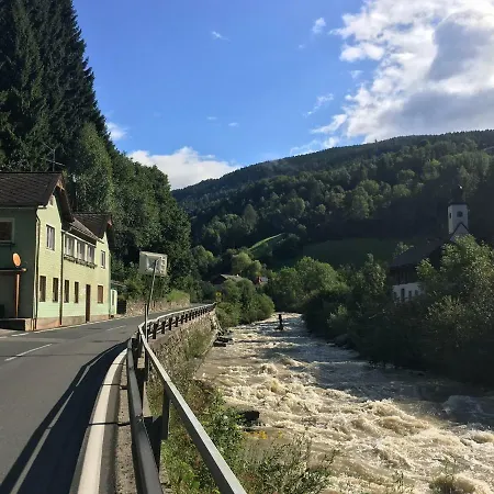 Large Family Siren Holiday home Leoben (Carinthia)
