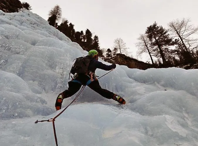 Large Family Near Katschberg Leoben (Carinthia)