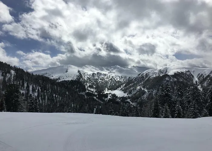 Large Family Near Katschberg Leoben (Carinthia)